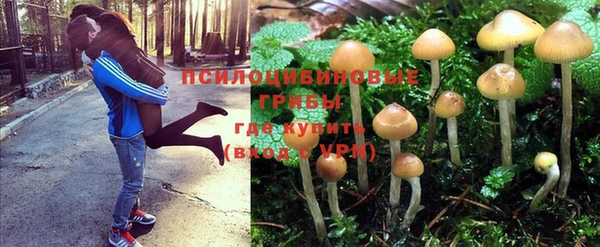 каннабис Сатка