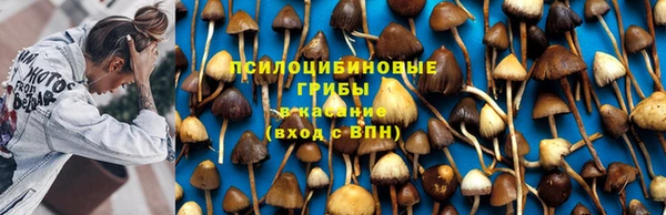 марки nbome Сафоново