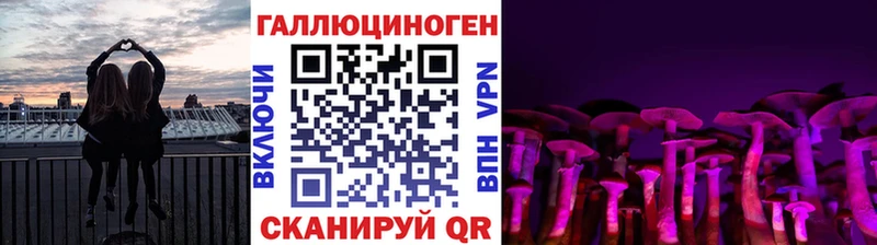 сколько стоит  Белинский  Псилоцибиновые грибы прущие грибы 
